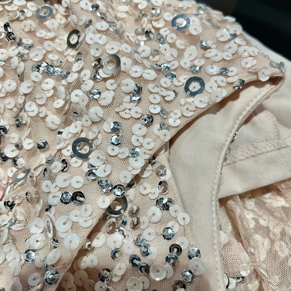 NWT Adrianna Papell Short-Sleeve All Over Sequin Gown Sz 6 - Picture 6 of 6